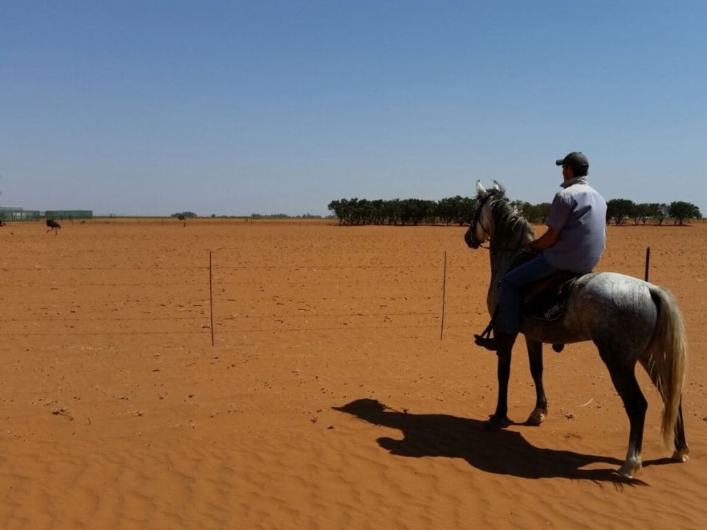 FABI embarks on a water collection drive in response to drought
