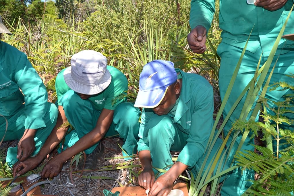 FABIan leads plant disease workshop at Kirstenbosch