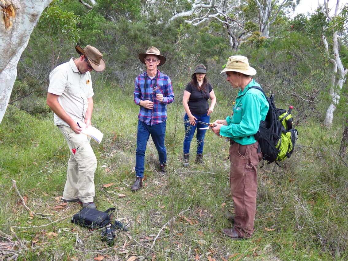 Exploring fungal biodiversity in eastern Australia