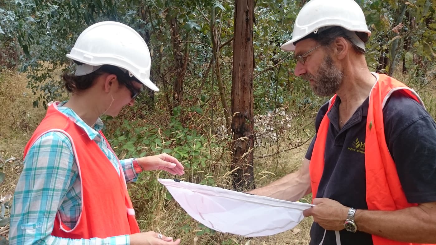 FABI Postdoctoral Fellow hunting biocontrol agents Down Under