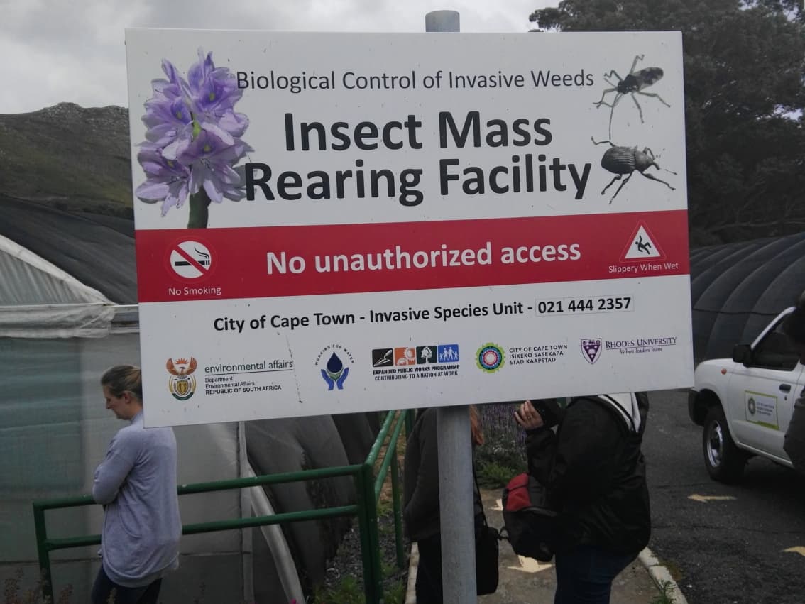 FABIans attend an insect mass-rearing workshop