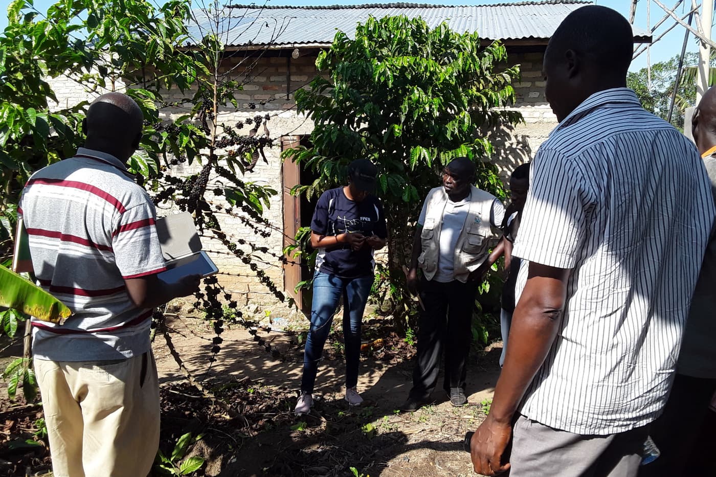 Crossing the Equator: A research visit to the National Coffee Research Institute (NaCORI) in Uganda