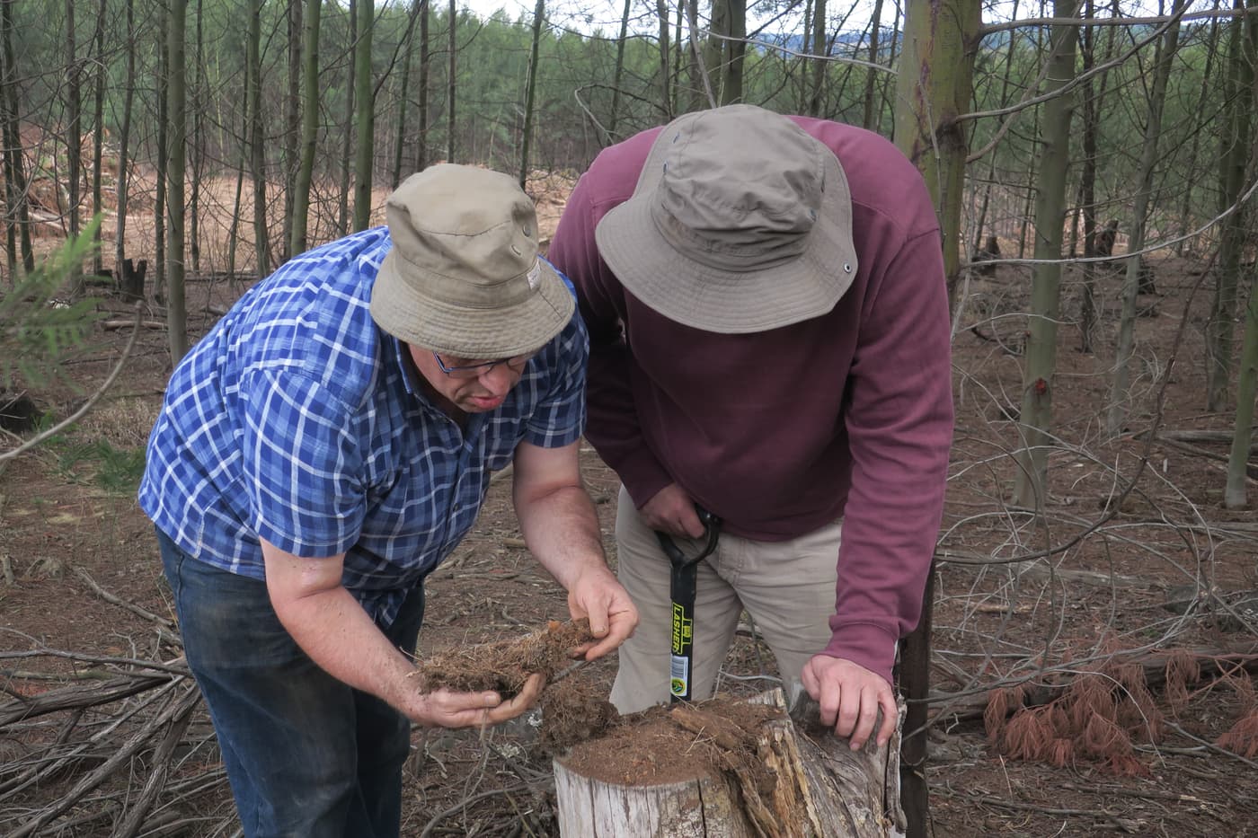 Rhizobial collection trip with Polish collaborators