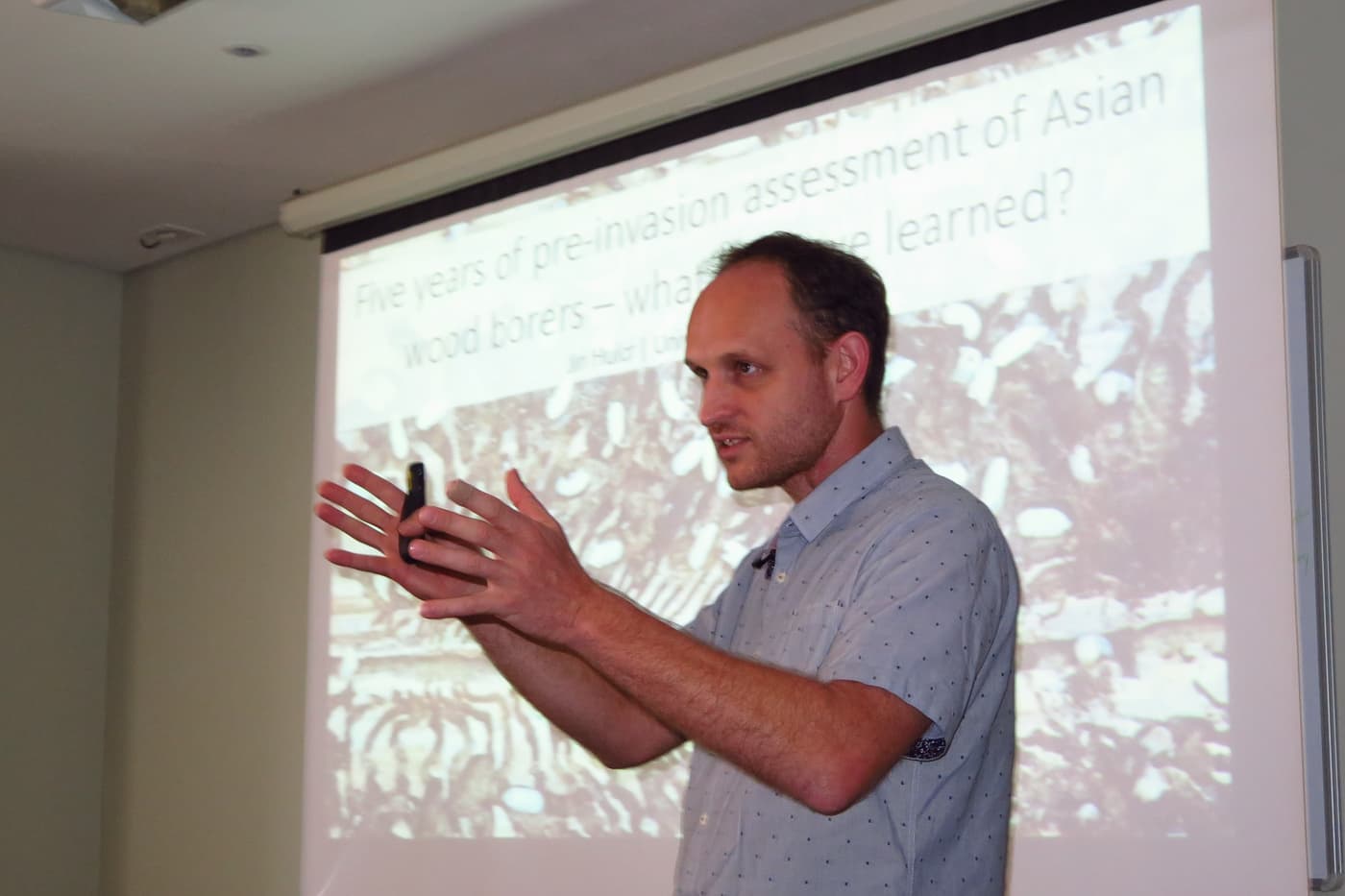Ambrosia beetle expert presents a special seminar at FABI