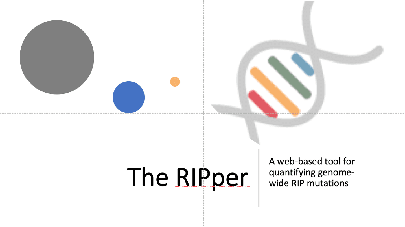 FABI bioinformatics tool, The RIPper, selected for the PeerJ feature collection