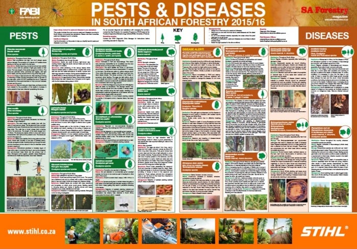2015 poster on South African forestry pests and diseases released