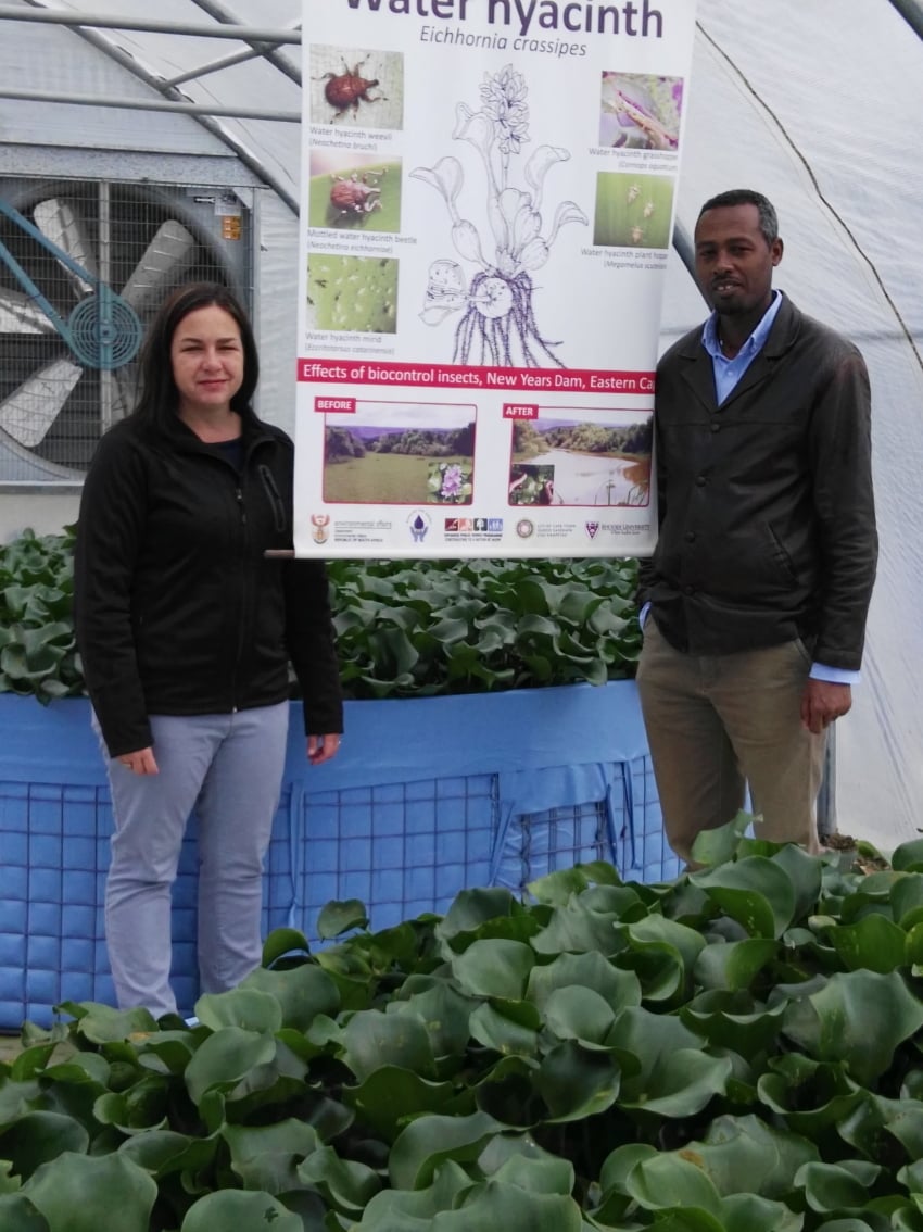 FABIans attend an insect mass-rearing workshop