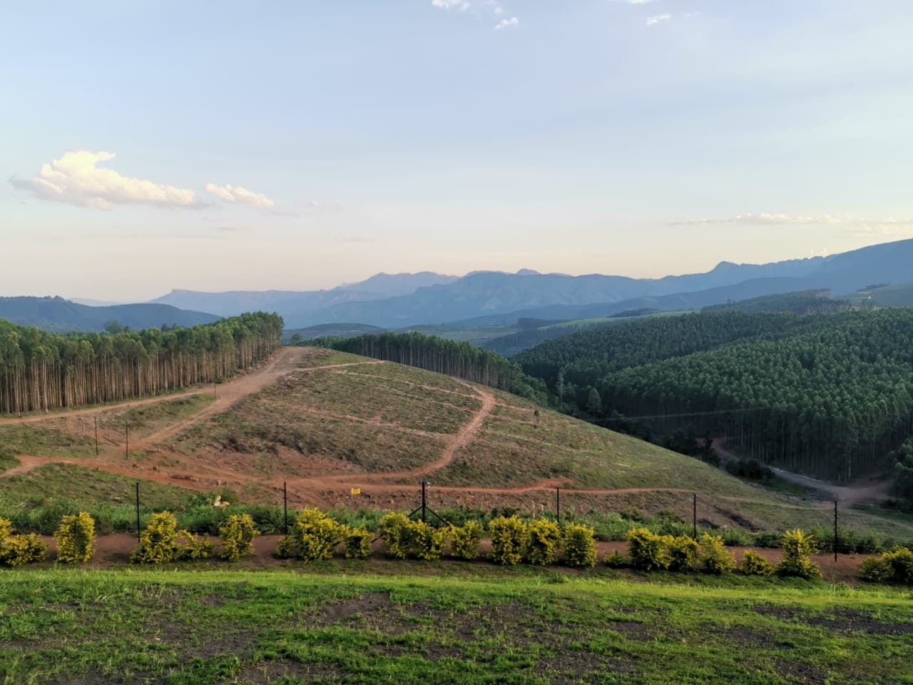 Field Trip - Tzaneen 2019