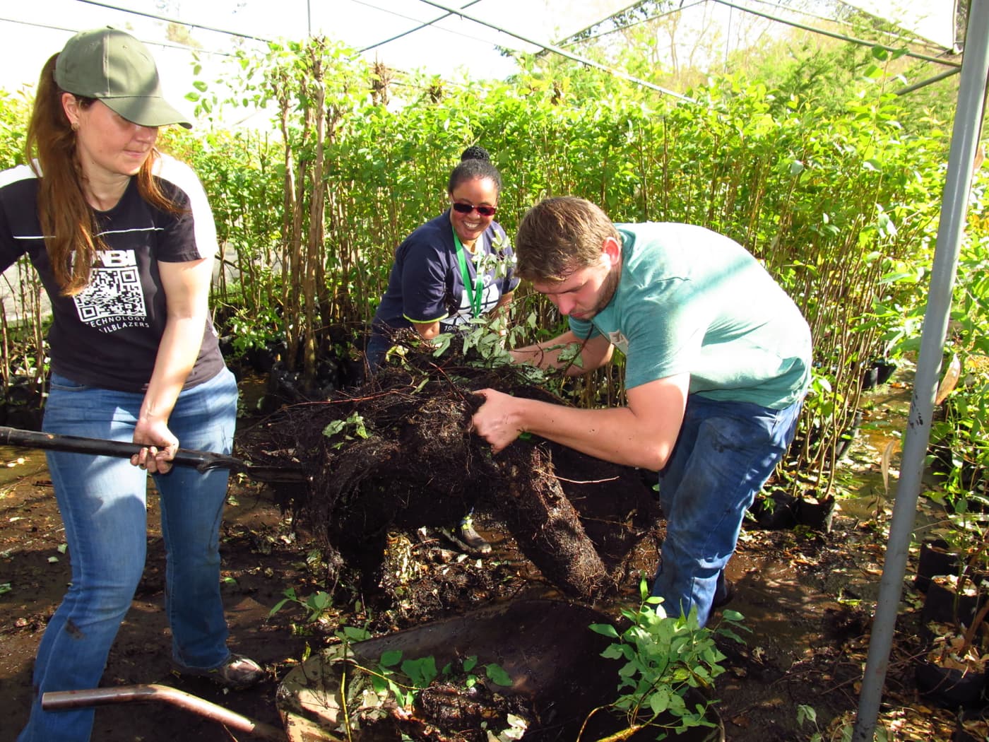 TPCP tree planting