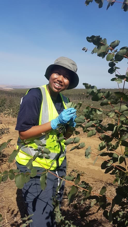 Working in Field