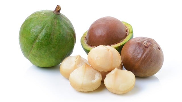 Macadamia Protection Programme research group