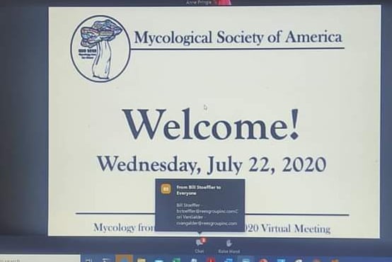 FABI mycologists participate in the annual MSA meeting: Mycology in the cloud