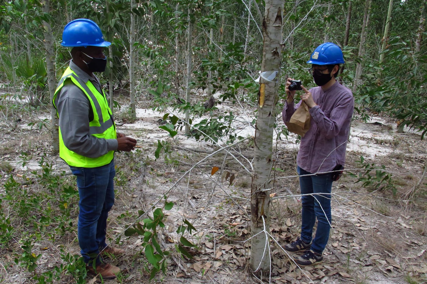 TPCP team members visit plantations on the KZN coast