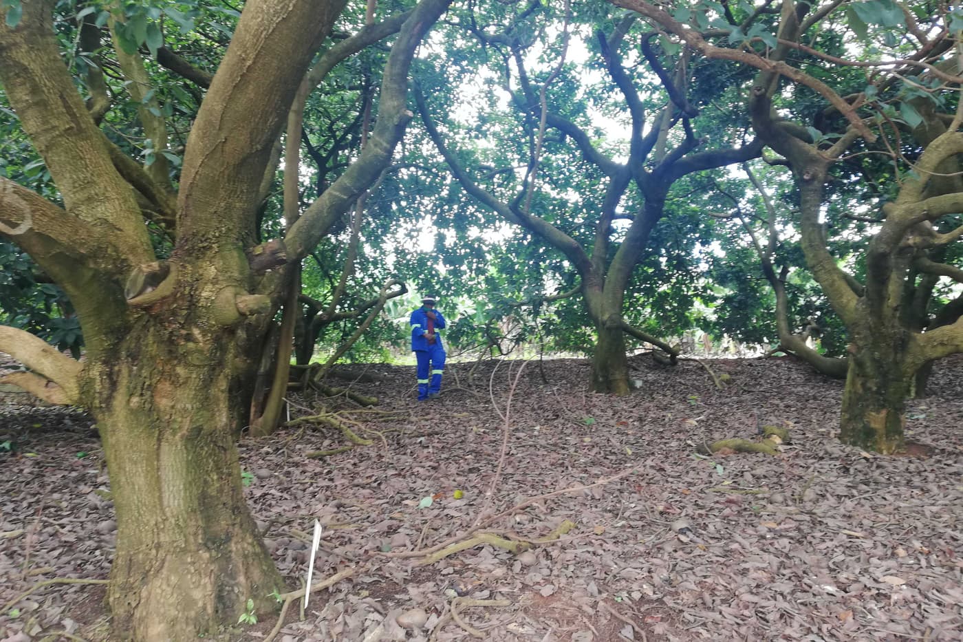 ARP team members visit Tzaneen
