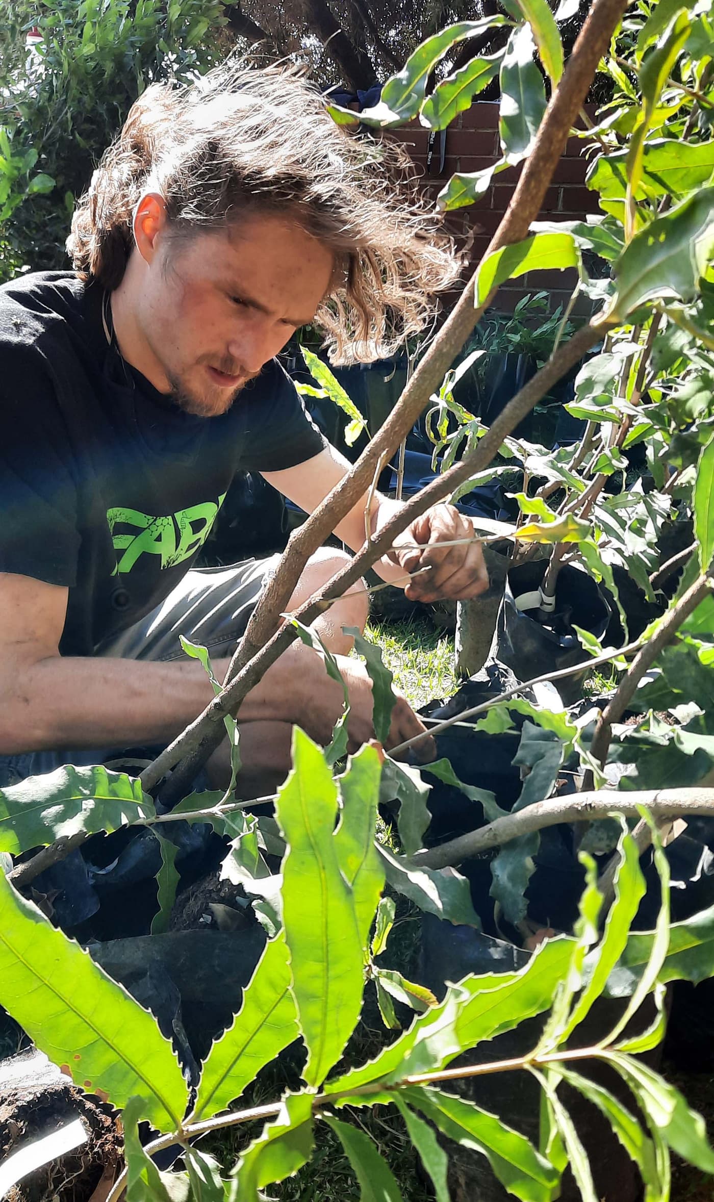 Tree planting day for the Mad Macs team