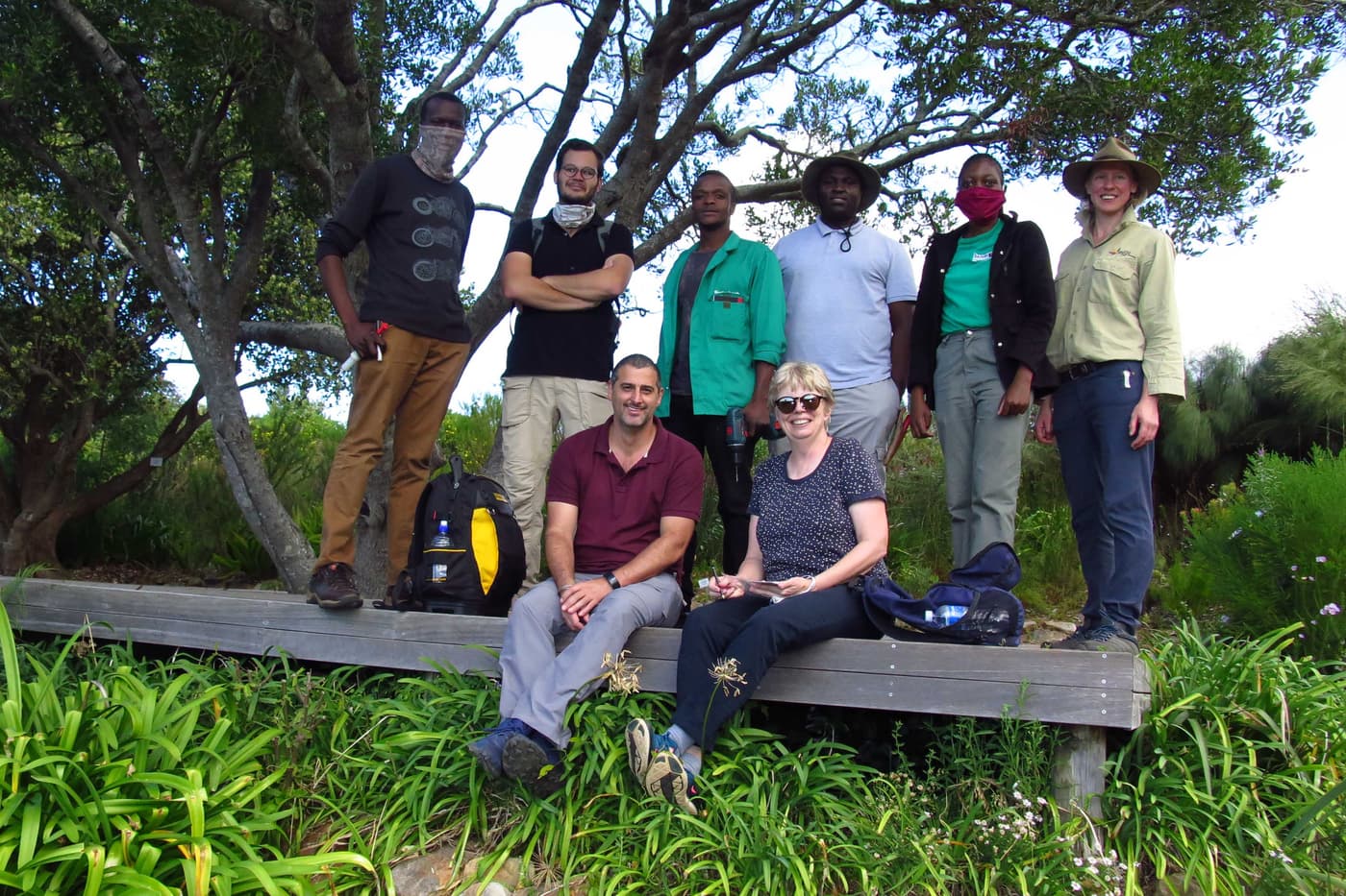 FABI team considers research progress on Phytophthora die-back of Silver trees in Kirstenbosch