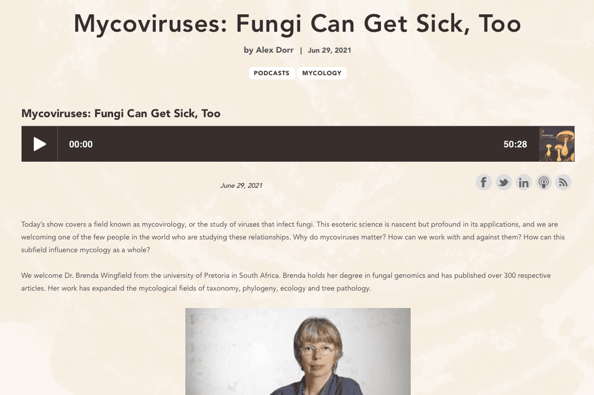 Getting excited about fungal viruses