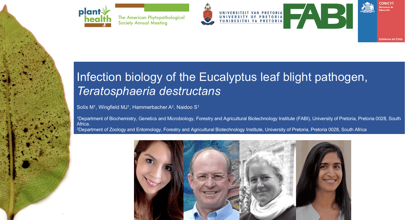 FABI researcher presents at the international APS conference