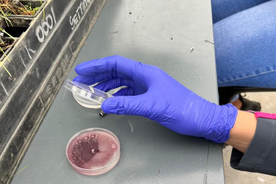 Teamwork makes quick work of inoculations
