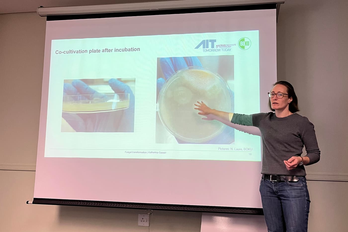 FABI organised the first “Agrobacterium mediated transformation of spore producing fungi” workshop