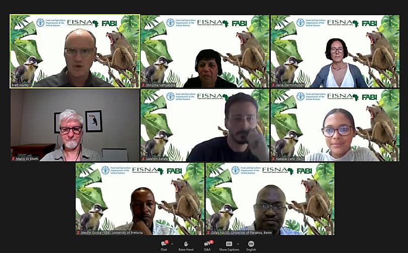 FABI and FAO co-host a webinar on Forest Health and Wildlife
