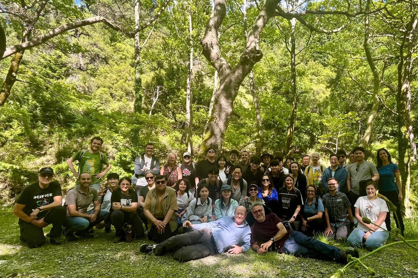 FABI researchers participate in the IUFRO Tree Wilt Disease Congress in Athens