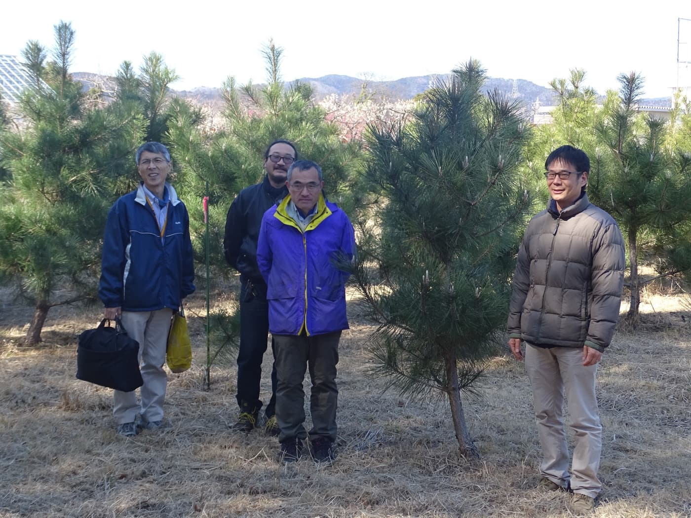 Growing collaborations between FABI and Japanese Forest and Forest Products Research Institute