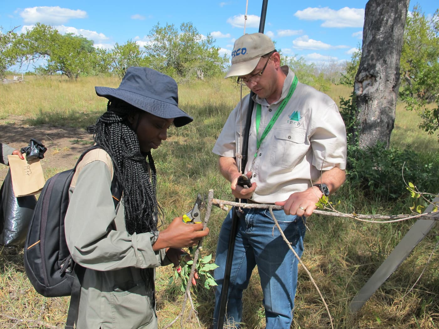 Hunting fungi in the Kruger National Park