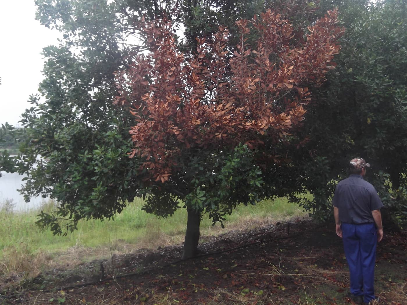 Macadamia Protection Programme members engages with stakeholders