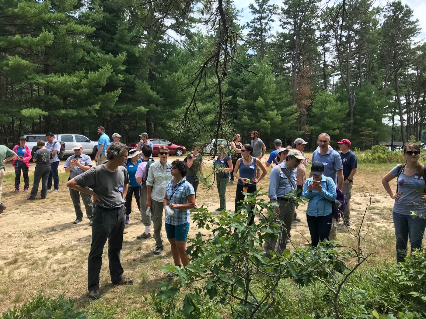 FABIans participate in ICPP Forest Pathology fieldtrip