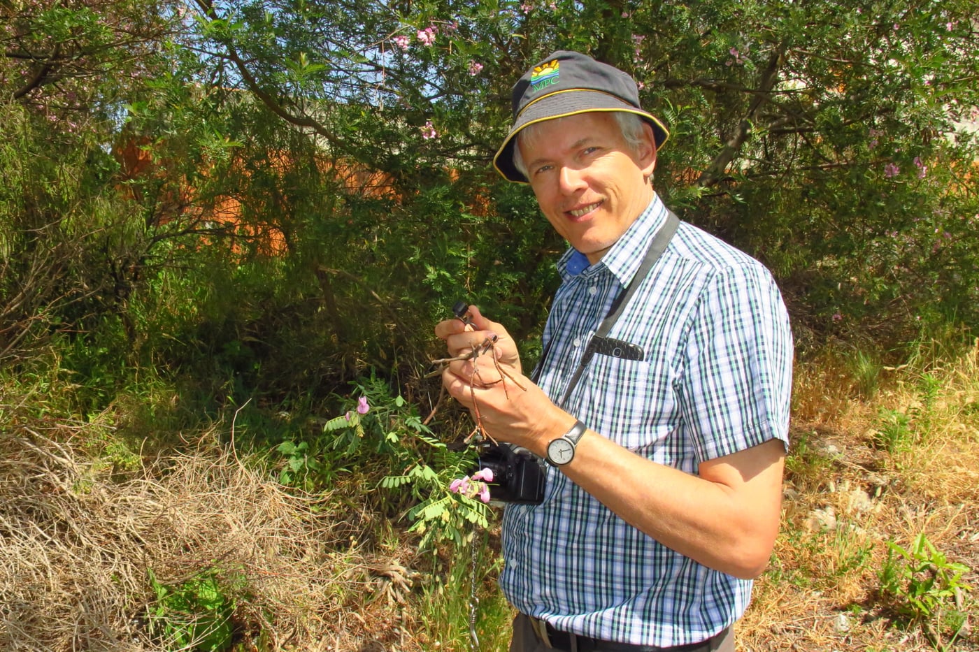 Prof André Drenth explores tree health issues in the Western Cape