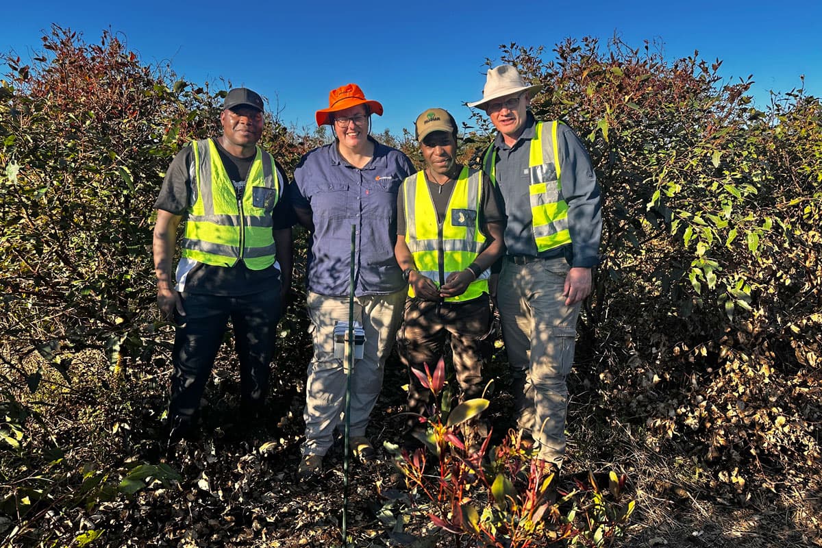 Dr Privilege Makunde, Izette Greyling, Mandlenkosi Dube and Prof. Brett Hurley in a Eucalyptus plantation