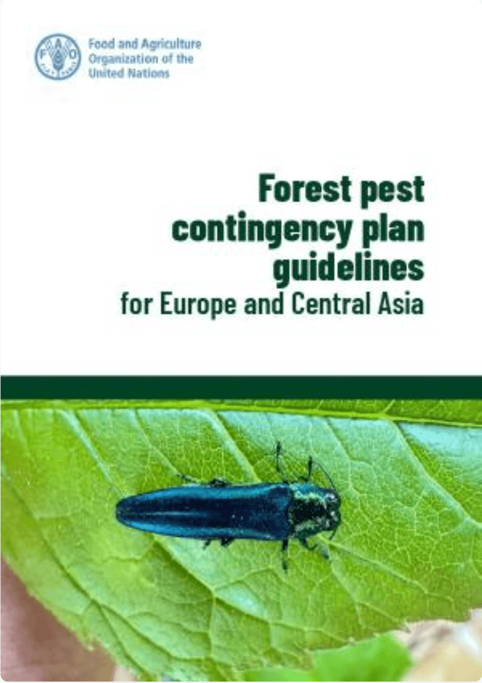 Forest pest contingency plan guidelines for Europe and Central Asia